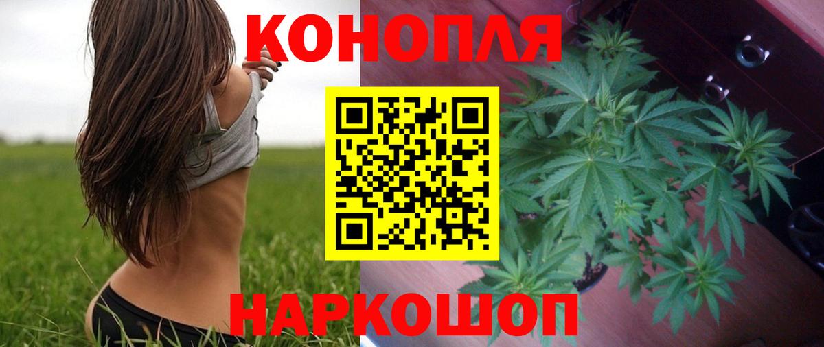 Бошки марихуана конопля Копейск